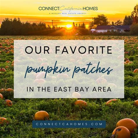 east bay pumpkin patch cost.